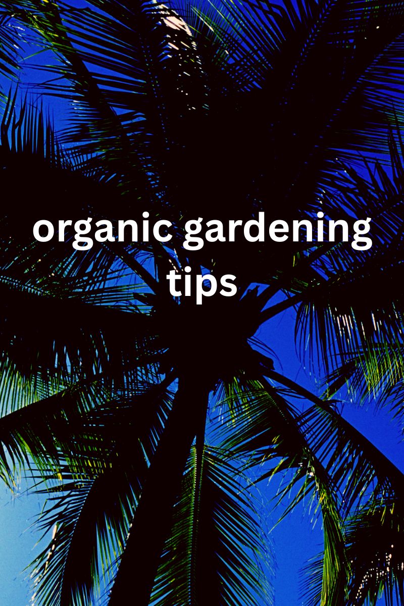 Organic Gardening Tips