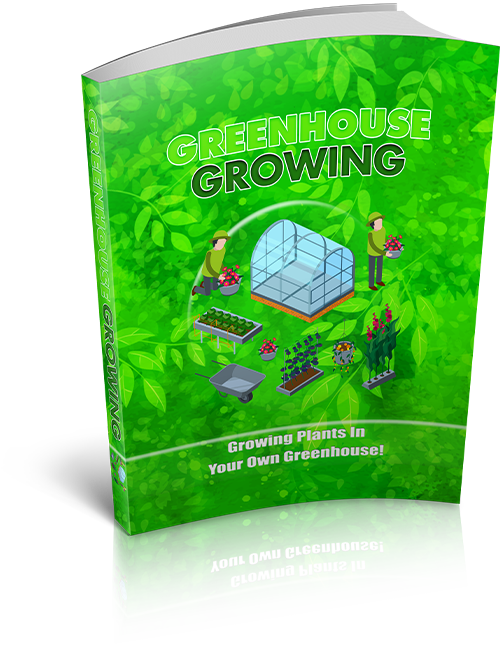 Greenhouse Growing Guide: How to Build & Grow Year-Round